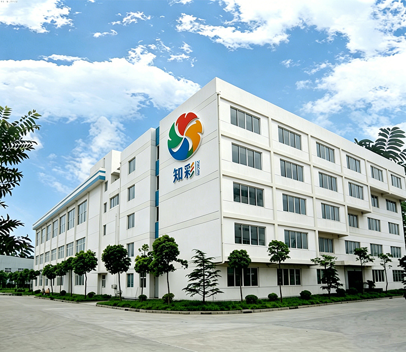 广东知彩新材料科技有限公司
